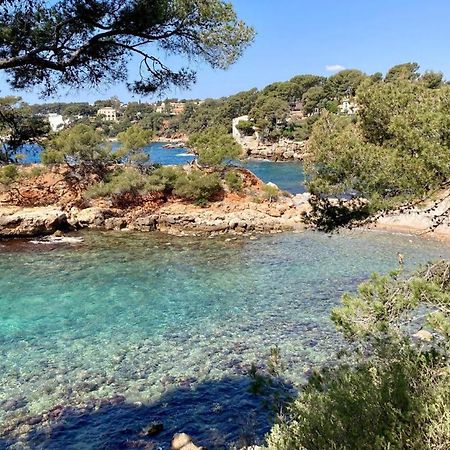 Tres Bel Appartement Climatise Terrasse Et Vue Mer Bandol Eksteriør billede